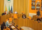 consiglio comunale