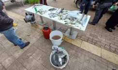 Controlli congiunti sulla vendita illegale di prodotti ittici: sanzioni per 6.000 euro controlli