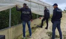 Truffa ai danni dell'Inps: 35 indagati e un danno di 140mila euro per l'ente previdenziale 5 truffa