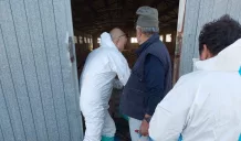 25 gennaio, prima giornata nazionale della prevenzione veterinaria 2 giornata