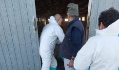 25 gennaio, prima giornata nazionale della prevenzione veterinaria giornata