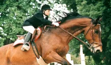 No all'intitolazione di un parco giochi al piccolo Giuseppe Di Matteo 1 intitolazione