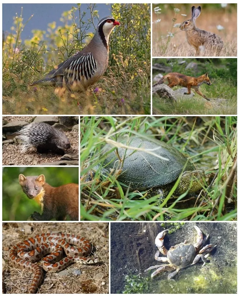 La riserva di Cava Grande del Cassibile