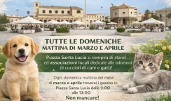 adozione