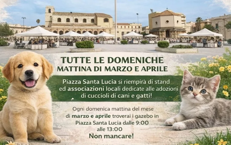Adozione di cuccioli di cani e gatti: tutte le domeniche di marzo e aprile in piazza Santa Lucia