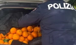 In auto con 750 kg di agrumi: tre denunciati per ricettazione agrumi