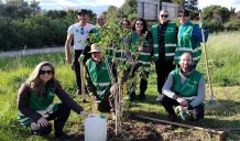 Tre nuovi alberi piantumati dai volontari dI Piantala AIAC al Parco Robinson 1 alberi