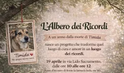 ricordi