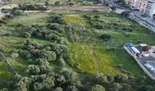 Archeoparco di Siracusa: il completamento tra circa 1 anno 1 archeoparco