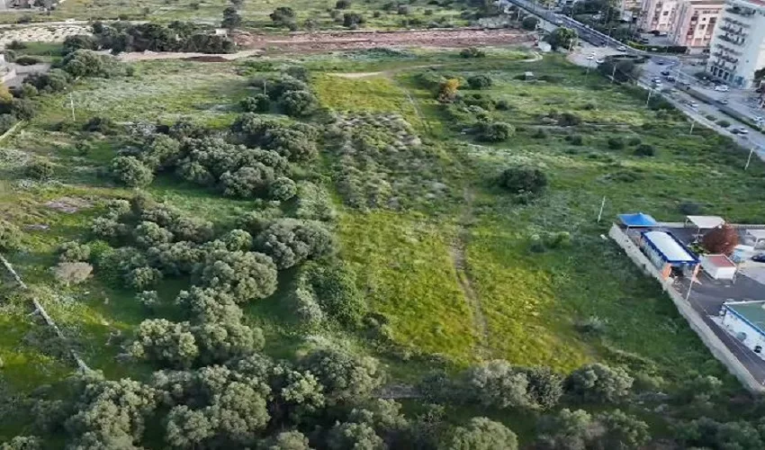 archeoparco