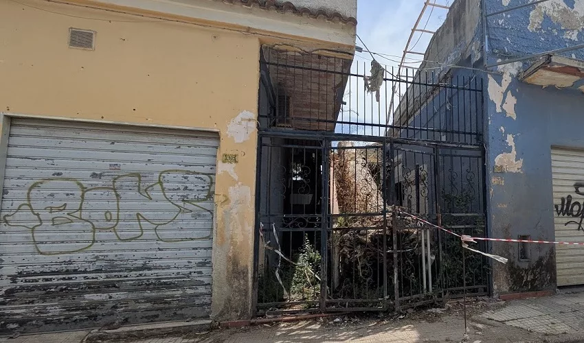 Pino crollato da 3 anni a Fontane Bianche: esposto del Comitato “Faremo strada”