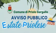 Avviso pubblico del Comune di Priolo per l'Estate Priolese 2 avviso