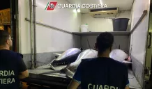 Sequestro di una tonnellata di tonno rosso privo di certificazione di tracciabilità 2 sequestro