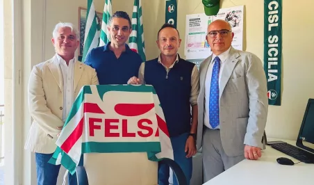 felsa